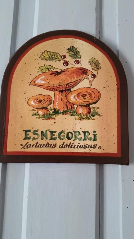 Albergue Armaia Artepea Urzainqui Buitenkant foto