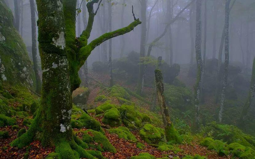 Albergue Armaia Artepea Urzainqui Buitenkant foto