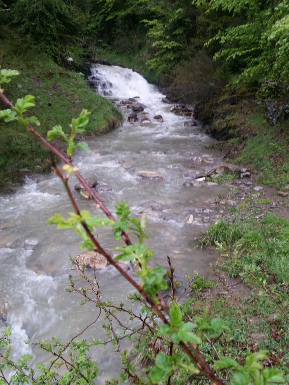 Albergue Armaia Artepea Urzainqui Buitenkant foto